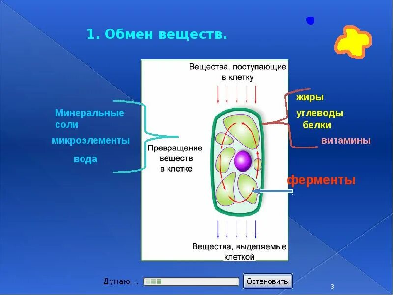 Любая клетка выделяет