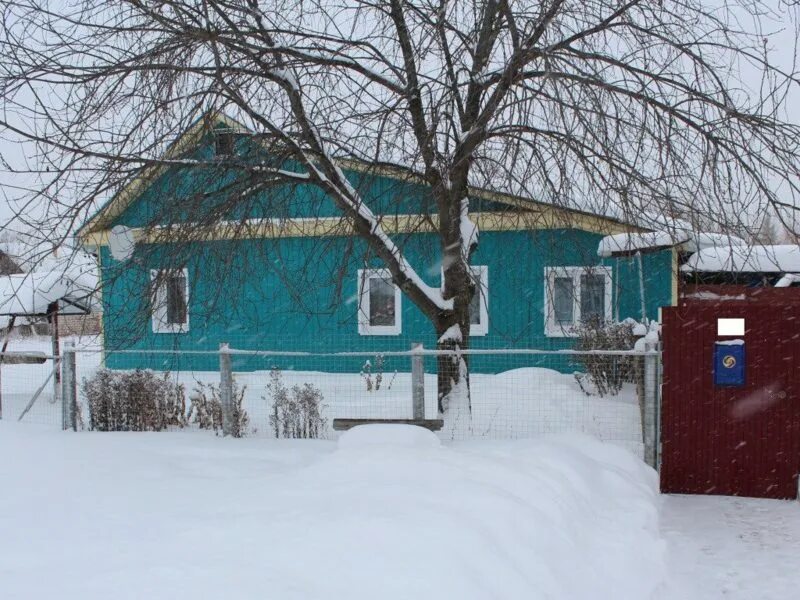 Николаевку продадут. Пос Николаевка Саранск. Николаевка Саранск. Николаевка дом. Поселок Гагарина Саранск.