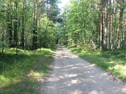 Большое куземкино ленинградская область