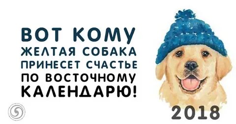 Звезды в год собаки