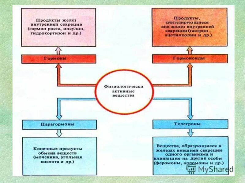 Продукт внутренних желез