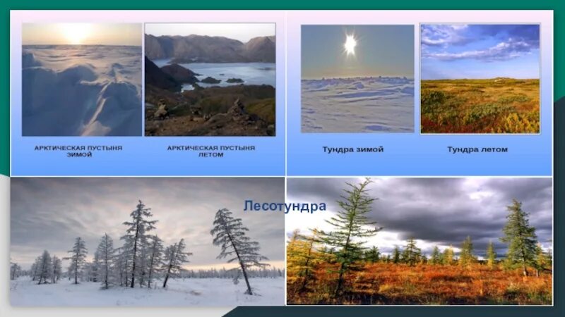 Природные зоны Арктики тундры и лесотундры. Зона арктических пустынь Евразии. Природные зоны Тайга и тундра. Арктическая пустыня природная зона.