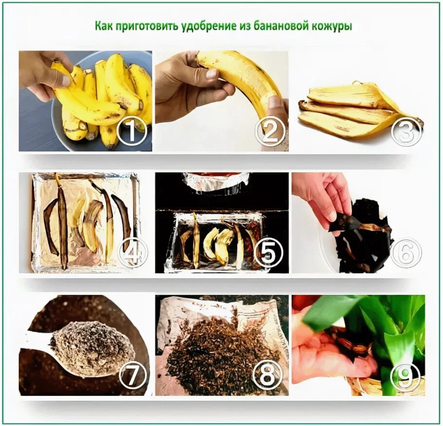 Удобрение из банановой кожуры. Удобрение из банановых шкурок. Подкормка для цветов из банановой кожуры. Удобрение из банановой кожуры для комнатных растений.