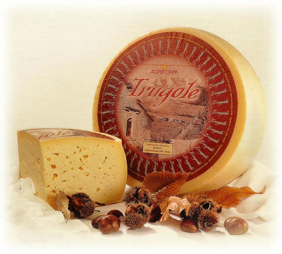 Сыры agriform. Итальянская кухня сыры. Сыр с зеленью. Сыр. Сыр красиво.