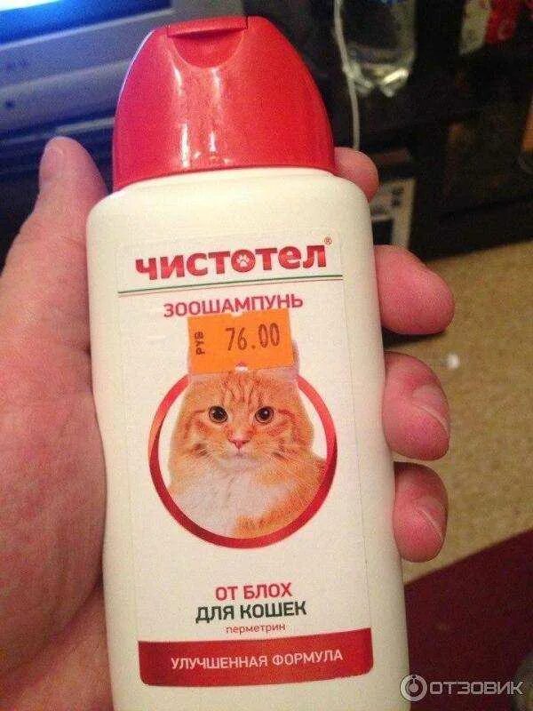 Как пользоваться шампунем от блох. Шампунь от блох для котят. противоблошиный шампунь для кошек. шампунь чистотел для кошек от блох.