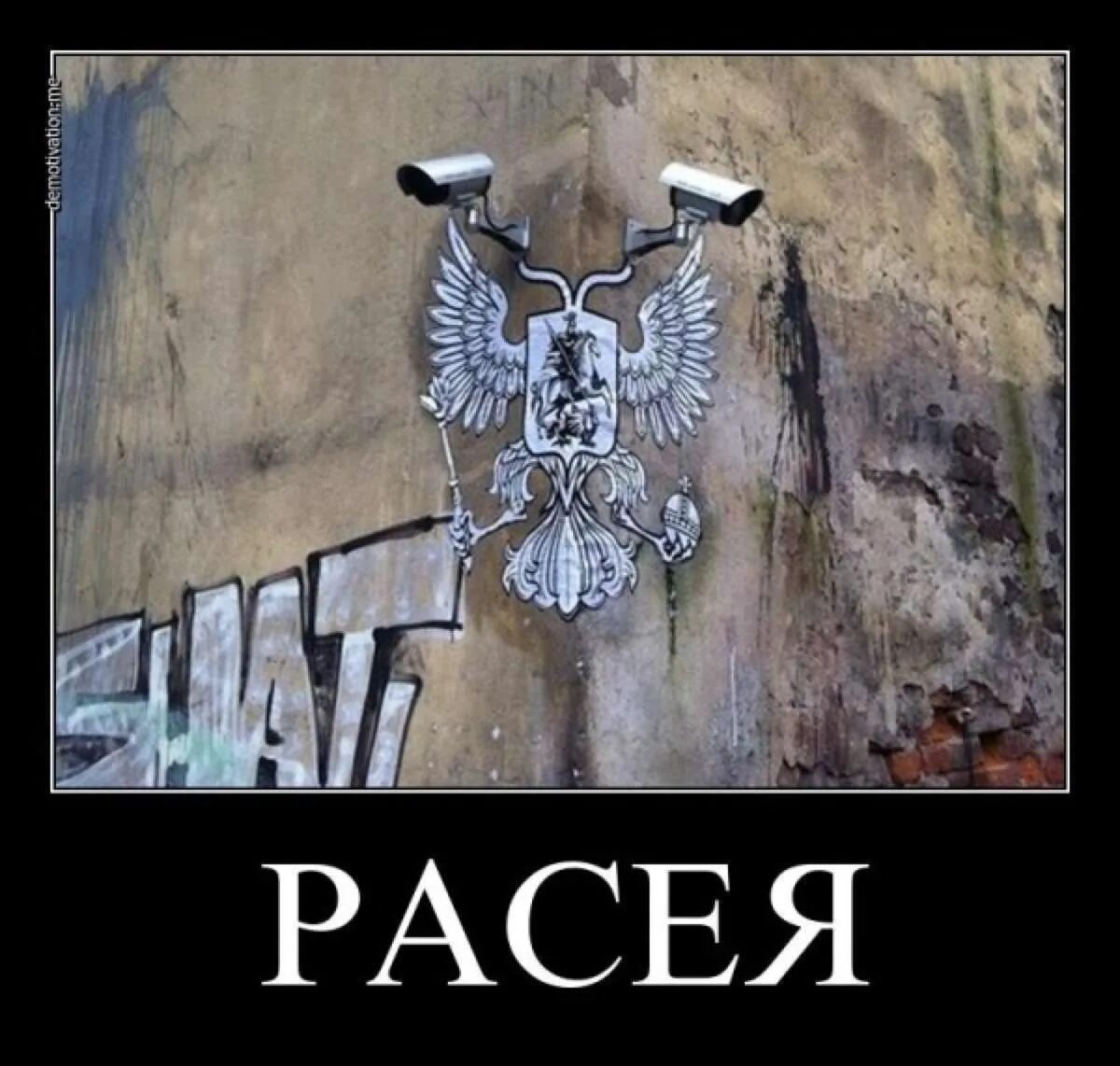 Моя рассея перец. Рассея от волги до енисея. Рассея моя рассея. 2005 - рассея. Расея расторгуева.