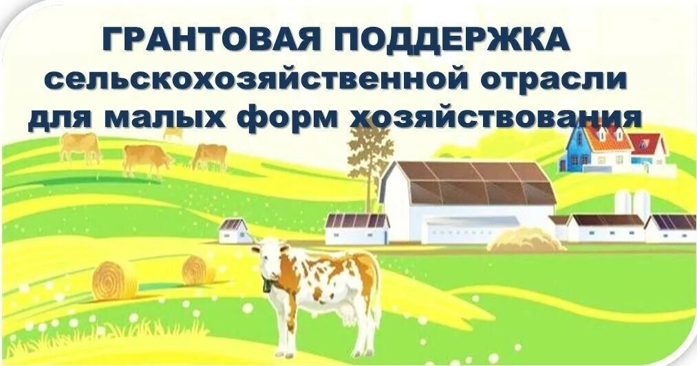 Поддержка малых форм. Грант сельское хозяйство. государственная поддержка малых форм хозяйствования. господдержка сельского хозяйства. грант на развитие сельского хозяйства.