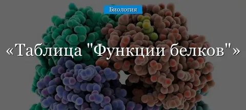 Функции белка химия