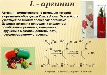 Особенности обмена и роль аргинина