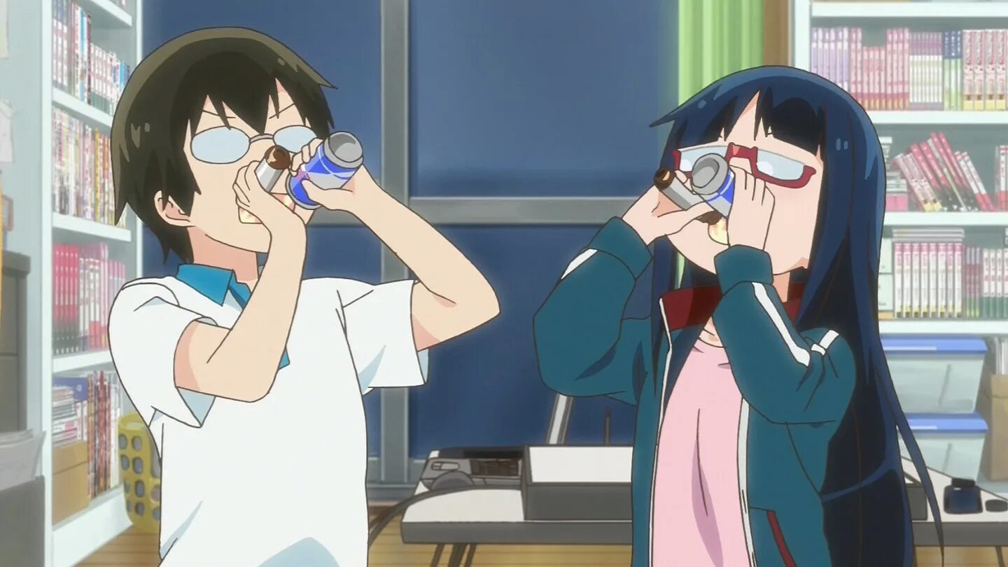 Аниме книжный магазин. Аниме работник книжного из электрогорода denkigai no honya. Стирка аниме. Книжный на электронной улице. Книжный в дэнкигай / denkigai no honya-san.