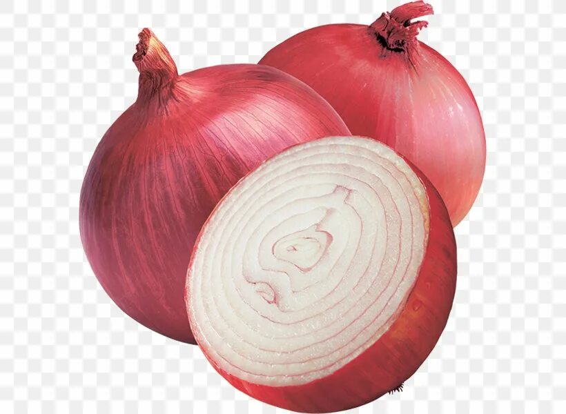 Red onion api download
