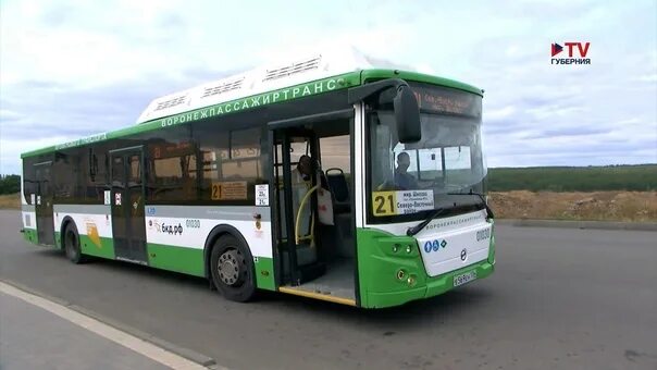 Ford 222700 transit. Автовокзал россошь россошь воронеж. Воронежский автобус 79 лиаз. Автобусы до воронежа 2. Новые автобусы воронеж.