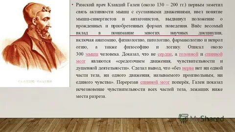 Гален вклад