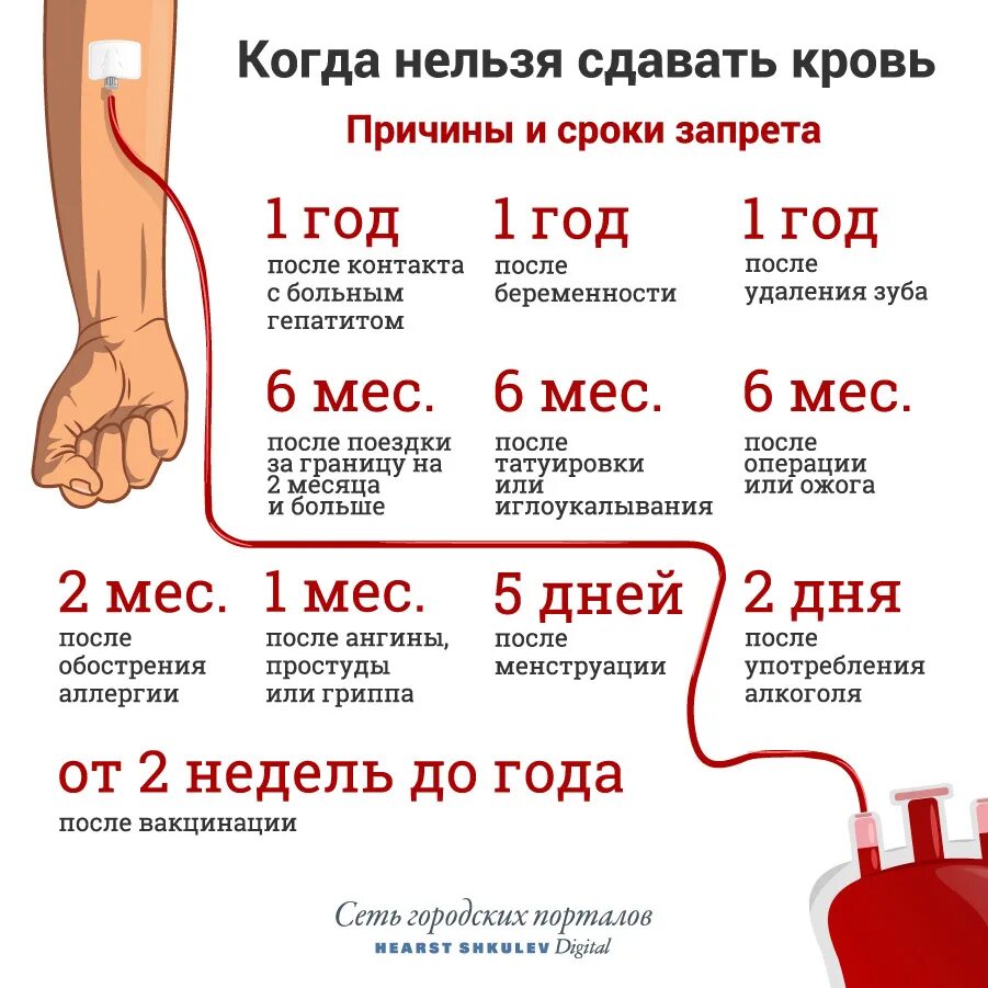 Донор герпес. После сдачи крови на донорство. Нельзя сдавать кровь. Когда нельзя сдавать кровь. Как частл можно мдпватькровь.