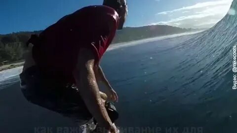 Откусила ноги шизоняшки
