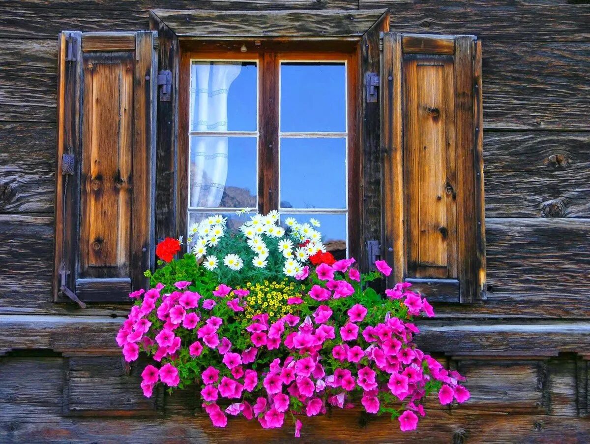 Цветет у нашего крылечка. Цветы на окне. Деревенский домик с цветами. Окно с цветами. Красивые окна.