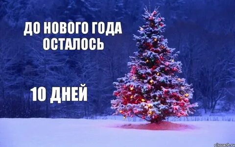Сколько осталось времени до нового года 2024