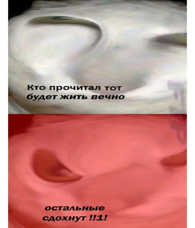 Мы здохнем мы все обязательно сдохнем