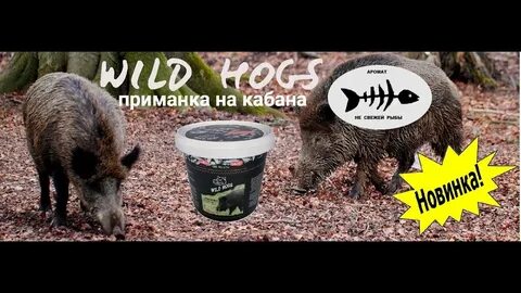 Приманка для кабана