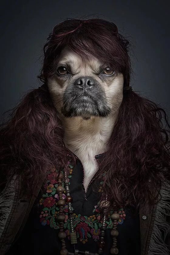 восточно сибирская росомаха. шарль лебрен люди животные. человек и животное. ленивец и человек. животные выглядят как люди.