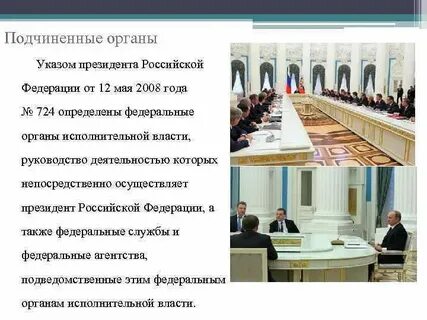 Высший орган подчиненный императору
