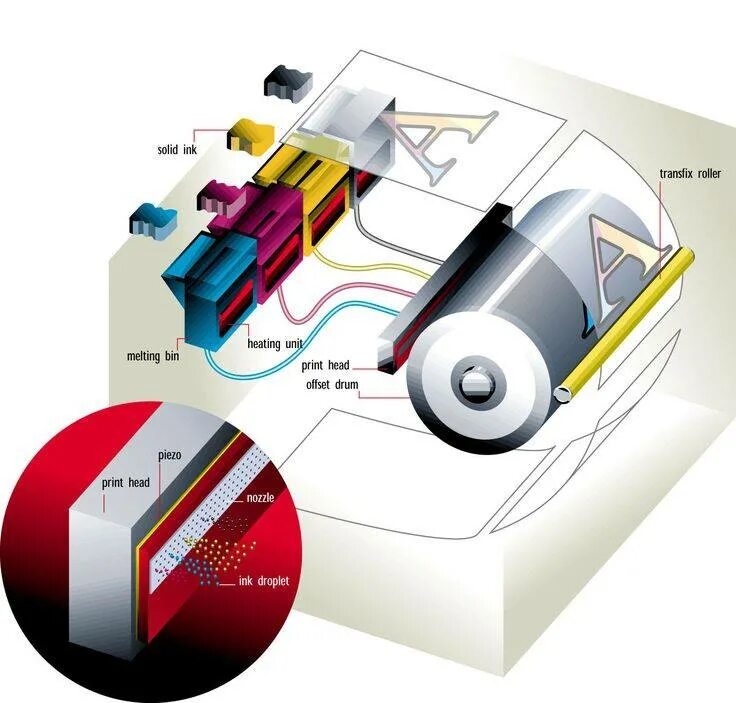Конструкция струйного принтера. Строение лазерного принтера. Лазерный принтер в разрезе. Печатающий механизм лазерного принтера. Цветные устройства