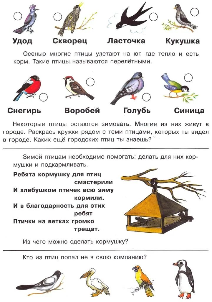 Задания для малышей зимующие и перелетные птицы. Зимующие птицы задания для детей 5-6 лет. Зимующие птицы 1 класс окружающий мир плешаков. Где зимуют птицы рабочий лист 1 класс. Перелетные птицы 1 класс окружающий мир школа россии.
