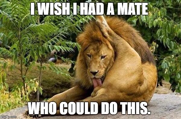 парень поставил лайки