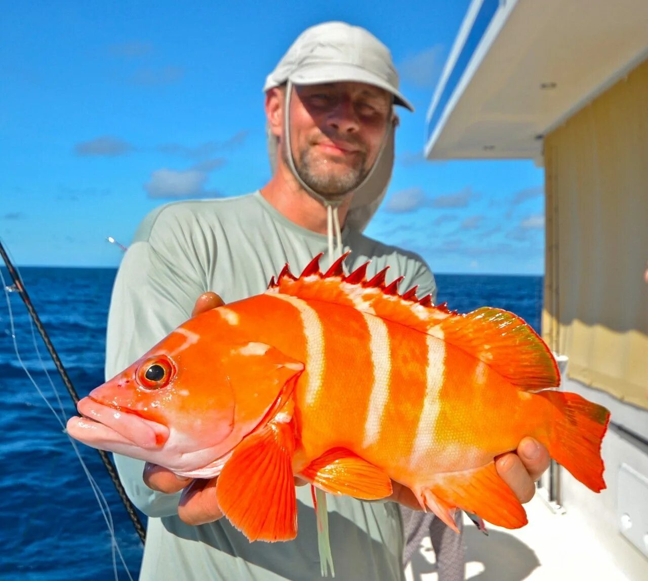 Желтополосый селар рыба. Рыба желтый полосатик. Желтополосый селар. Желтополосый селар. Рыба желтый полосатик.