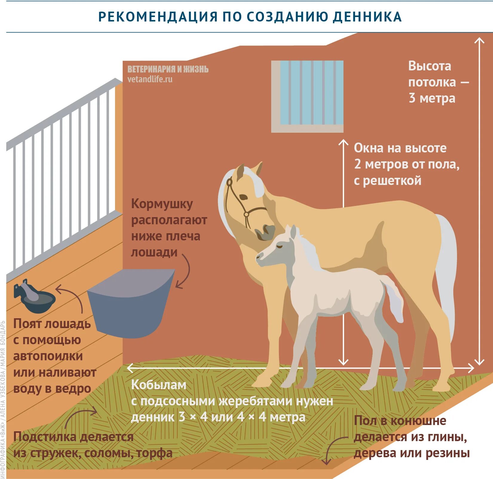 Способы содержания лошадей. Помещение для содержания лошадей. Содержание лошадей в конюшне. Условия содержания лошадей. Содержания конюшни