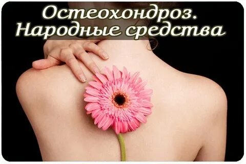 Остеохондроз народное лечение остеохондроза