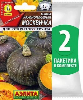 Тыква шоколадная москвичка