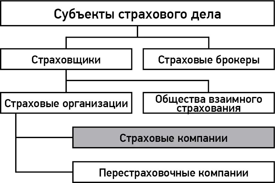 Перечислите субъектов страхового дела. Субъекты страхового дела. Перечислите субъекты страхования. Субъекты рынка страховых услуг. Структура страховых правоотношений.