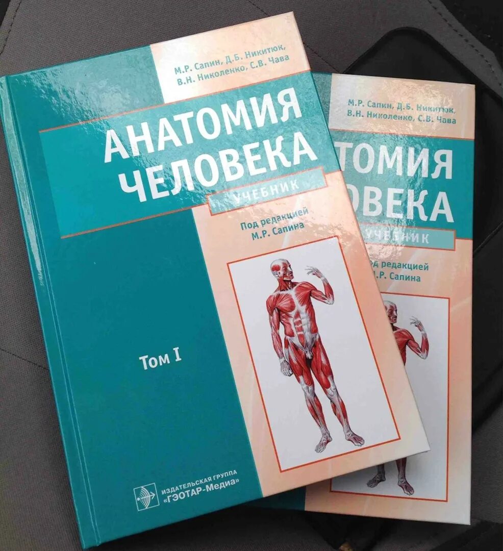 Анатомия медколледж. Анатомия человека Сапин 2 том. Анатомия человека Сапин Никитюк 1 том. Анатомия человека в 2х томах. М.Р. Сапин. Сапин 2 том книга по анатомии.