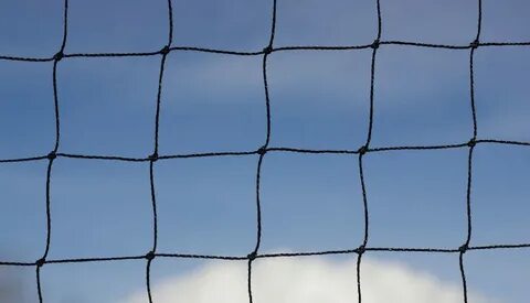 Net 40