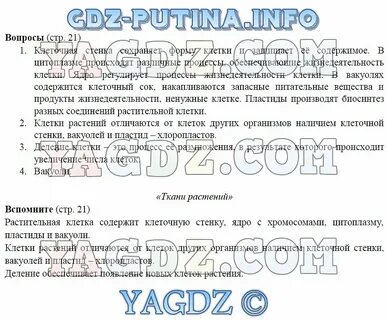 Биология 6 класс стр 85 вопросы