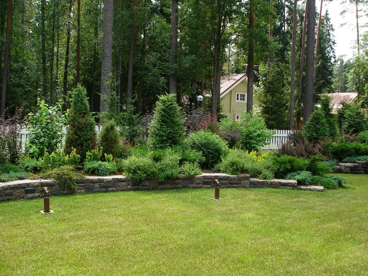 Создание лесного участка. Ландшафт лесного участка у озера. Ландшафт в сосновом лесу. Создание лесного участка. Древесно кустарниковый миксбордер.