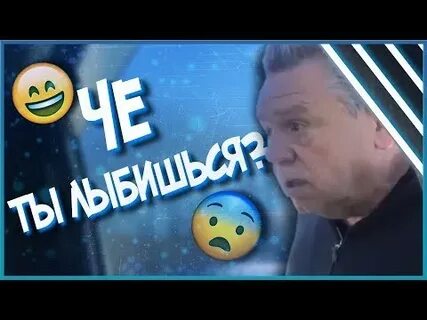 В мире животных музыка ремикс