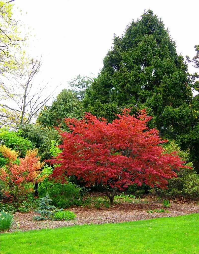 Pin on Gardening