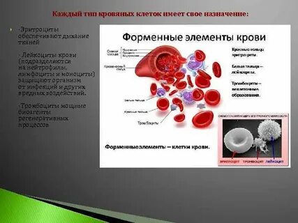 Транспортная функция эритроцитов