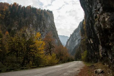 Абхазия в ноябре