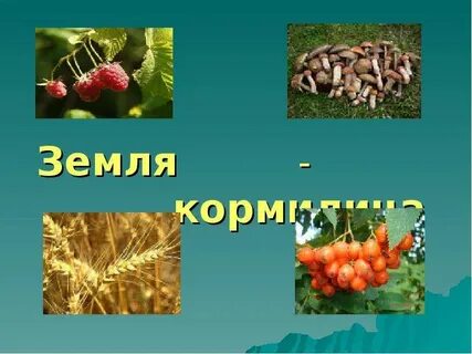 Окружающий мир 4 класс земля кормилица учебник