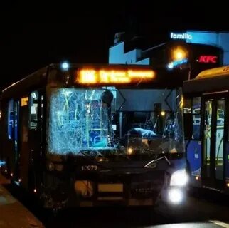 Мох автобус