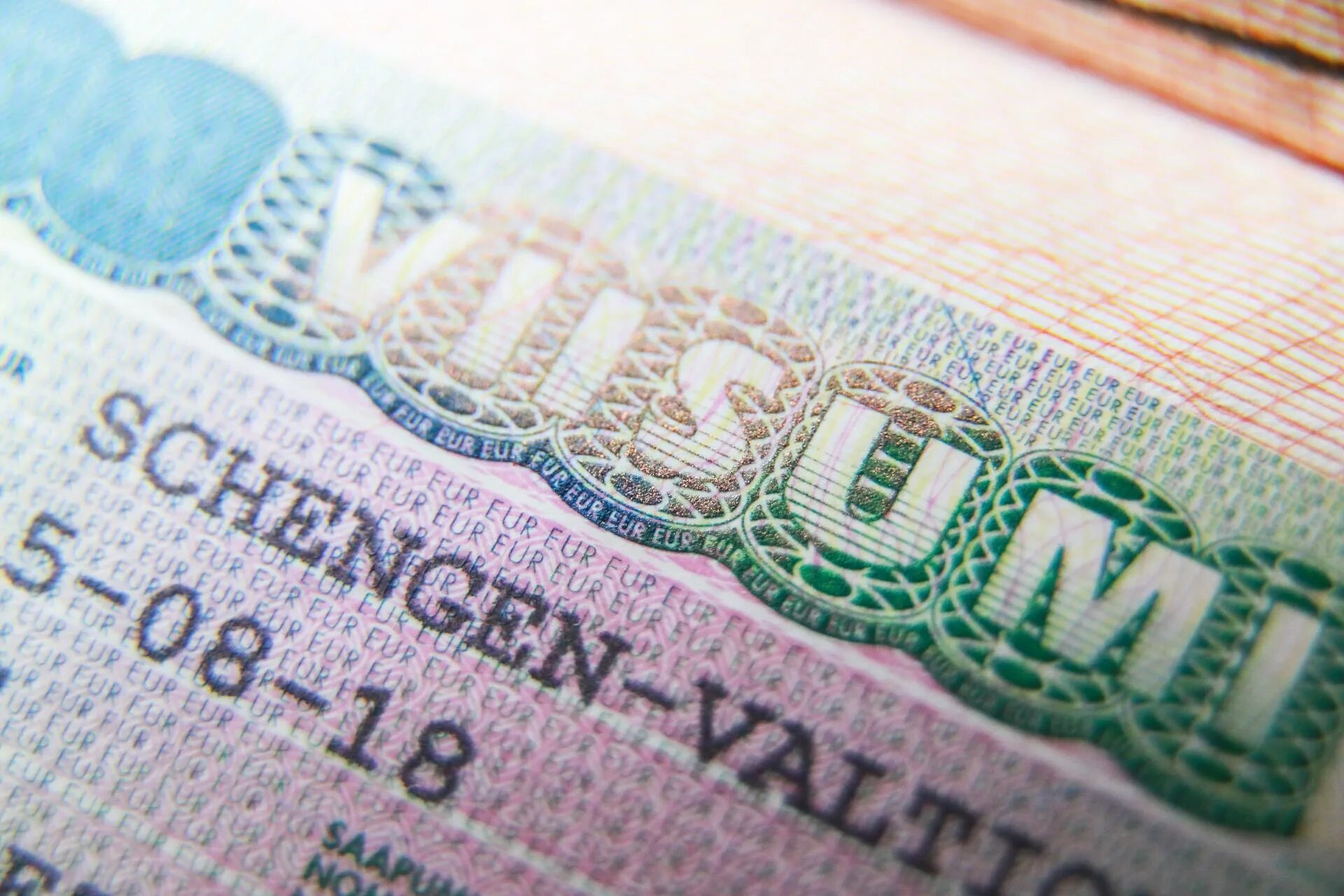 Визовый режим ес. Шенгенская виза. Финская виза шенген. Венгерская виза. Виза ЕС.
