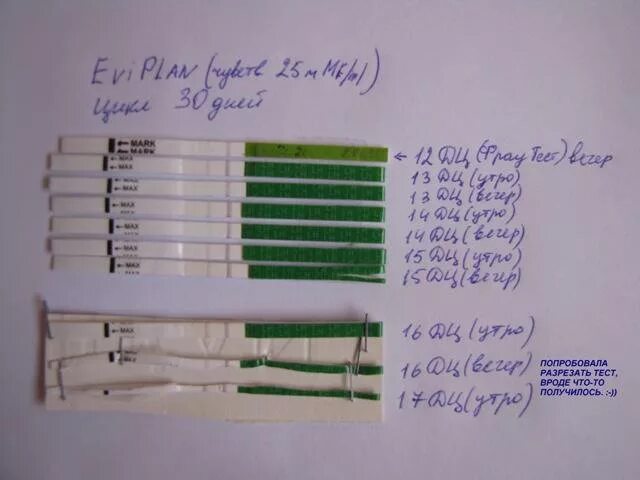 Овуляция есть тест отрицательный. Динамика тестов на овуляцию. Тест на беременность ДЦ. Тест на 17 ДЦ. 25 ДЦ тест на беременность.