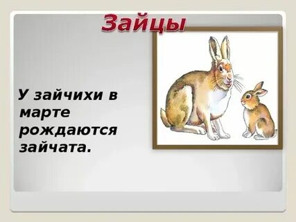 Зайчата по составу 4 класс
