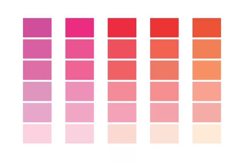 Холодный розовый оттенок. Теплые оттенки розового. Теплый розовый цвет. Теплые и холодные оттенки розового. Оттенки холодного розового цвета.