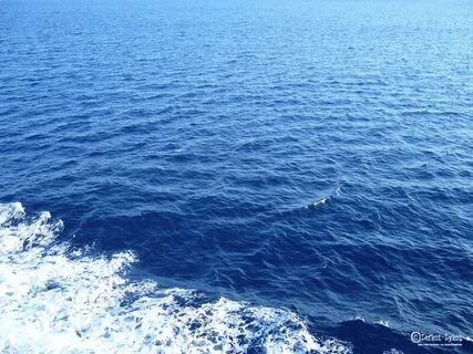 Сегодня день моря