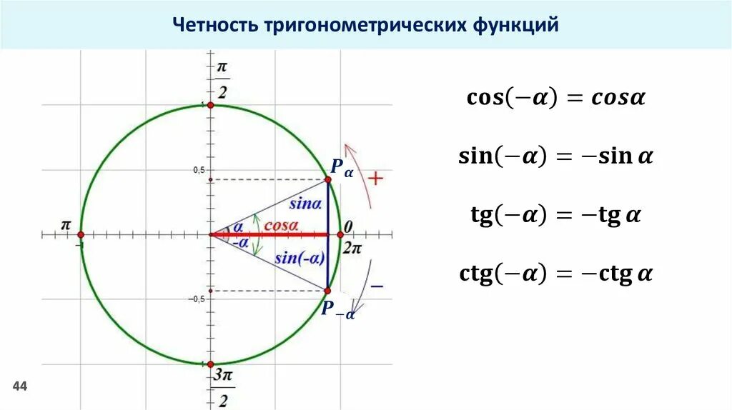 Формулы приведения в тригонометрии круг. Sin cos тригонометрия. Тригонометрические тождества окружность. Основное тригонометрическое тождество.