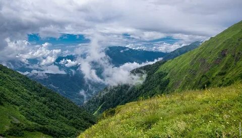 Адлер природа человека